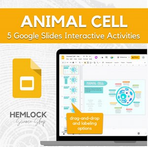 Animal Cell - interactive drag-and-drop & labeling activity in Slides