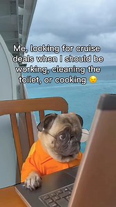 Cruise Tips TV on Reels