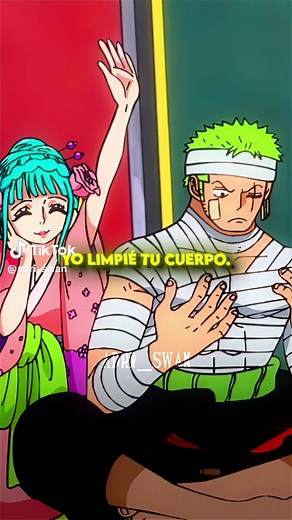 Zoro y Hiyori: ¿Un Amor Imposible en One Piece?