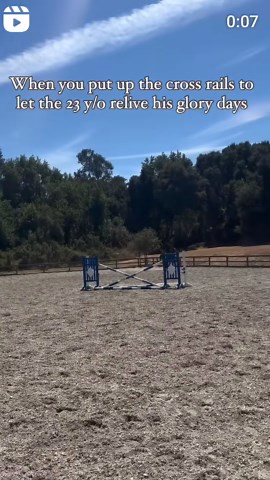 streamhorse: equestrian show jumping skills on display