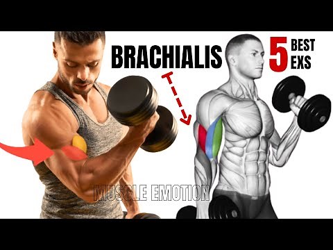 5 BEST BRACHIALIS WORKOUT AT GYM TO GET BIGGER ARMS FAST