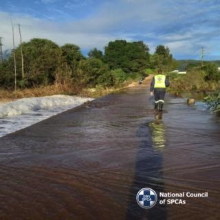 4.7K views · 119 reactions |  The NSPCA's Disaster Response Team...