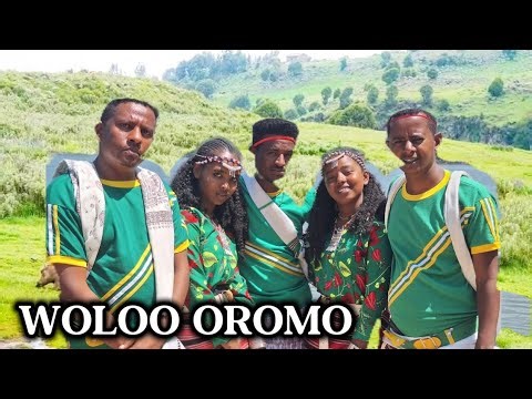 ወሎ ኦሮሞ ባህላዊ ጭፈራ ||Wollo Oromo Cultural Dance – A Beautiful Display of Heritage & Rhythm ||🇪🇹