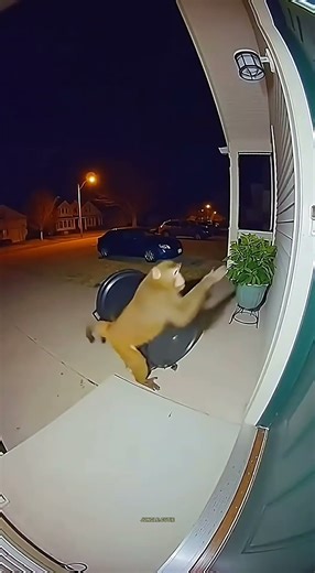 High resolution security camera footage from a house garage at night #monkeychaos #cctvstyle #foryou