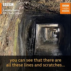 24K views · 292 reactions | 'The gold in Wales hangs from the mines like bunches of grapes'!  As mining for gold returns to Wales, here's a look at the history of Dolaucothi gold mines in Carmarthenshire... | BBC Radio Wales | Facebook