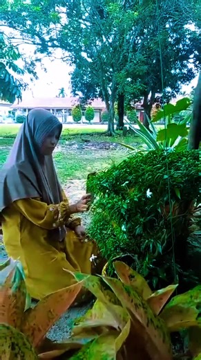 vidio sederhana bunga di halaman rumah #bunga #garden #CapCut