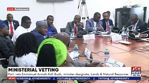 Live stream: Parliament vets minister nominee for Lands & Natural Resources - MyJoyOnline