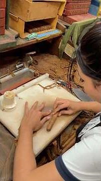 The Real Art of Cuban Cigar Rolling 🇨🇺