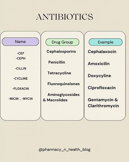 Antibiotics classification ✨