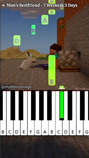 Man's Bestfriend - 7 Weeks & 3 Days (‪@Jrokecraft‬) | Easy Piano Tutorial #shorts #minecreft