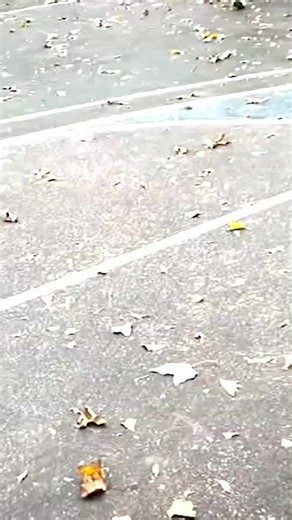 Asish Prashar was on the receiving end of the attack -- Hadasa Karavanibozak apparently thought he was Muslim because of the scarf he was wearing. | ABC7NY