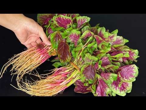 How to Stir-Fry Amaranth Without Bitterness (Nutrition-Friendly! Amaranth Stir-Fry Hack Fresh, Juicy