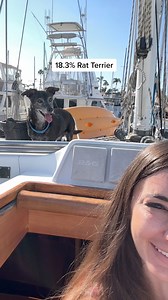 Get an Embark Dog DNA Test – trusted by millions of dog owners and reviewed as the top gift by New York Magazine 🐶 Click to save now 🧬 Embark tests for over 350 breeds, types, and varieties 🔬 Screen for 270 genetic health risks 🐾 Meet your pup’s relatives in our database | Embark Vet