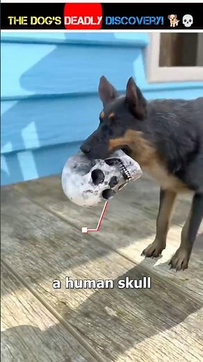 The Dog's Deadly Discovery! 🐕💀 ||~woodwokorking-woodart#shorts #youtubeshortsviral