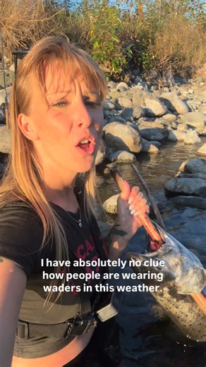 Linda 𓆏𓆙𓆈𓃟𓅷𓃠𓃒𓃗𓃱𓄁𓃰𓅿 | When its baking hot and people are wearing waders standing in a foot of water 😂 #fish #fishing #salmonfishing #nature #river #riverfishing... | Instagram
