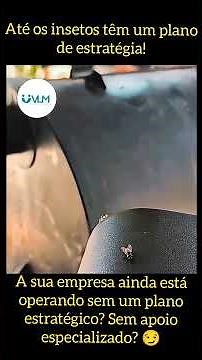 Estratégia dos insetos na Vida Animal #estrategiaempresarial #estrategiaanimal