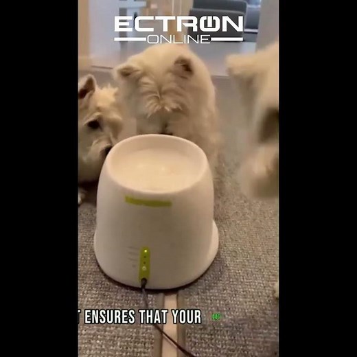 Dog Pet Automatic Interactive Ball Launcher