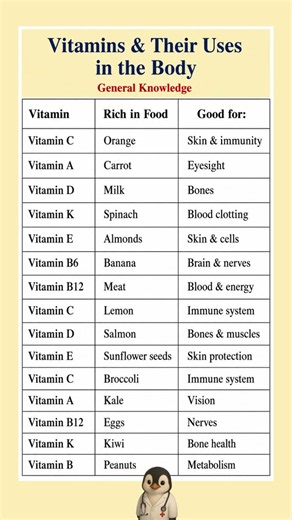 Essential Vitamins & Their Benefits for Your Body 🥦🍊