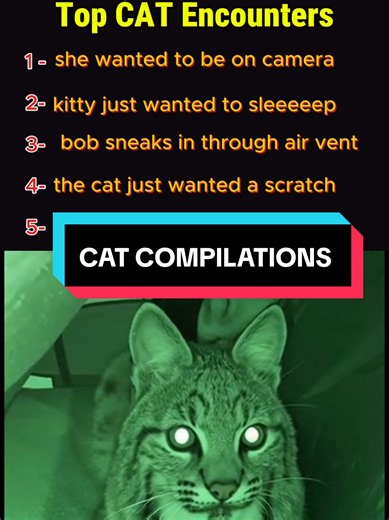 Best Alaska Camping Moments You Can't Miss