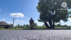 Scout hanging out on place while the world passes by. | The Dog Wizard
