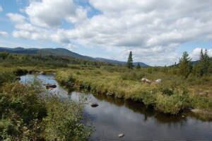 Inside Vermont’s largest wildlife management area