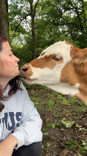 Kisses for baby Ramona 🤍 #rufusthebull #thebigboss #babyramona