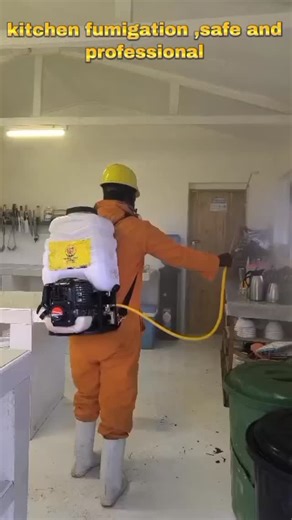 Imagine Care | Kitchen fumigation services #fypppppppppppppppppppppppppppppppppppppppppppppppppppppppppppppppppppppp #fumigationservices | Instagram