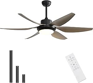 CACI Mall Ceiling Fan with Lights Remote Control, 54" Outdoor Ceiling Fan with 6 ABS Blades 50w Reversible DC Motor 24w Dimmable LED Light, Modern Ceiling Fan for Living Room, Kicten, Porch, Patio