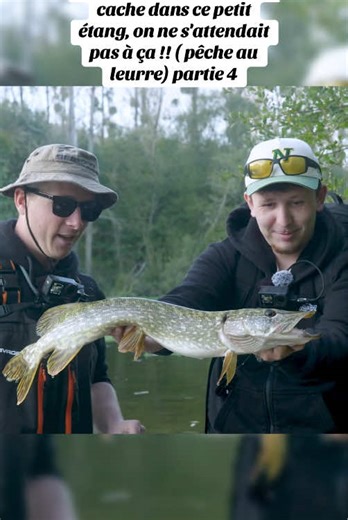 Une créature énorme se cache dans ce petit étang, on ne s'attendait pas à ça !! ( pêche au leurre) #créature #énorme #sattendait #pêche #leurre