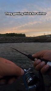 8.1K views · 139 reactions | #goodmorning #Fishing #whitebass #Oklahoma #fall | Full Time Fisherman | Facebook