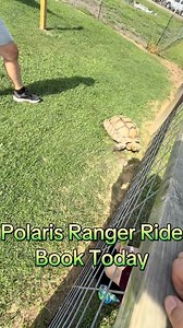 Bayou Wildlife Zoo on Reels