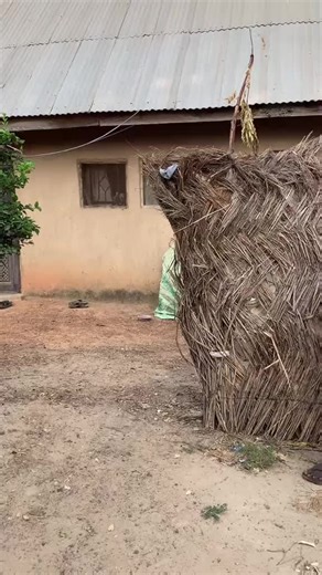 Exploring the Impact of Smart Bots on Tech Innovation