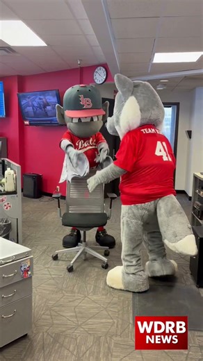 Buddy Bat and Snow Fox cause chaos in the newsroom!