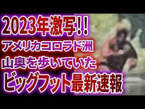 【ゆっくり解説】やはりビッグフットは実在した!! 2023年最新映像、研究で生存説を完全解説
