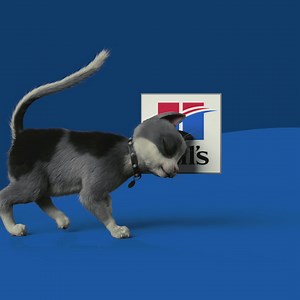 Millions of pets have lost weight with Hill’s — and so can yours! Shop Hill’s Science Diet weight foods at PetSmart. | PetSmart