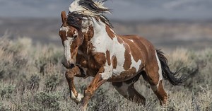 Discover Colorado: Exploring travel destinations across the state