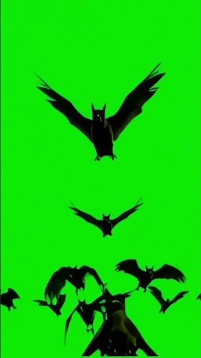Halloween Bat SWARM Green Screen 🦇 #freevfx | Quick Explosion Shorts