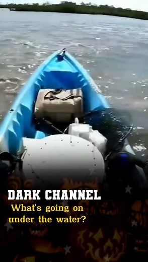 😱😨 What happened #secret #chills #scary #d#darkchannel #paranormal #ghost #secret #skinwalker #scary #dark #scarystories #horrorfan #creepy #darkchannel #horrorart #haunted #chills #art #halloween #spooky | Dark Corner