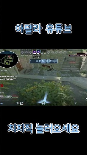 Cass 2 Adela Emso Bullet Distribution #shorts