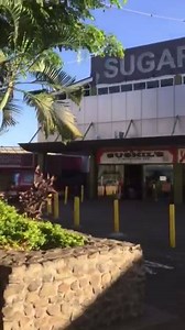 5.8K views · 62 reactions | FREEDOM TREE Lautoka 1:6:2017 I have...