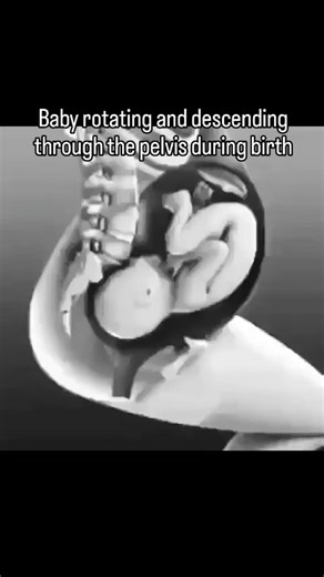 5.9K views | This incredible video shows a simulation of the mum’s body and baby working together to birth baby in the most comfortable way for both of them #pregnancy #birth #midwife #nowbaby #baby #newborn #pregnant #postpartum #empoweredbirth | NowBaby | Facebook