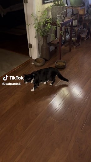 Brother's Strange New Haircut Will Leave You Surprised