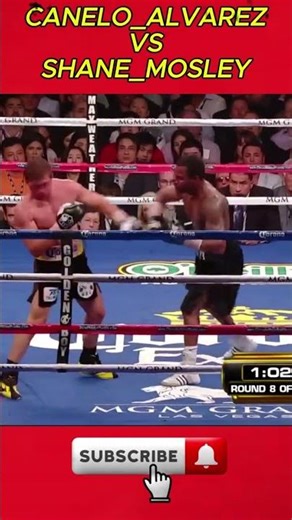 CANELO_ALVAREZ VS SHANE_MOSLEY