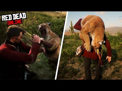 The ONLY 3 Red Dead Online Hunting locations You NEED! (RDR2 Online 2020)