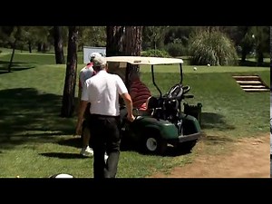 OUCH! Golf cart CRASHES into a tree!