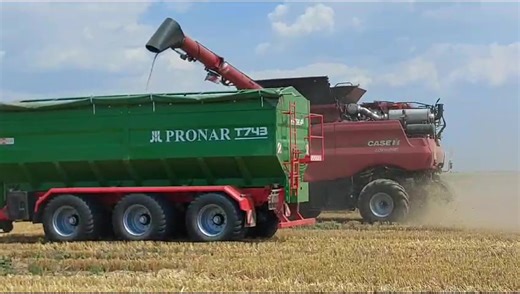 Recoltare grâu cu combina Case IH Axial-Flow 7150 | Titan Machinery România
