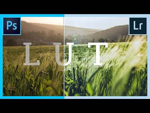 Comment retoucher rapidement ses PHOTOS en utilisant les LUTS !