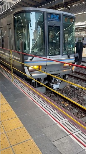 223系2000番台+225系0番台 神戸線 新快速 大阪駅乗車 2024.11.20