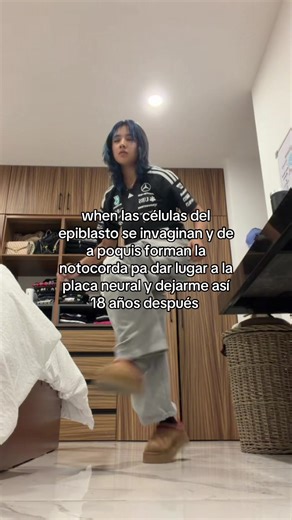 Células del Epiblasto y su Importancia en el Desarrollo
