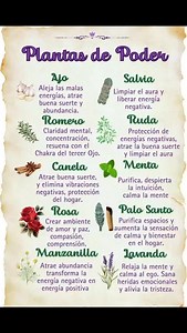 Plantas o hierbas 🌿 ancestrales mágicas protectoras que se usaban antiguamente. Quemar cáscaras de ajo el día viernes abundancia y protección. Romero para quemar y para beber como infusión, trae claridad mental concentración. Canela múltiples propiedades atrae buena suerte elimina vibraciones negativas protege el hogar. Manzanilla, rosa atrae amor armonía paz .salvia ,ruda palo santo, limpia el aura limpia energías negativas de los espacios y personas. Menta despierta la intuición. lavanda, ali